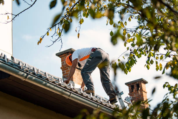 Best Sheet Metal Roofing  in Davison, MI