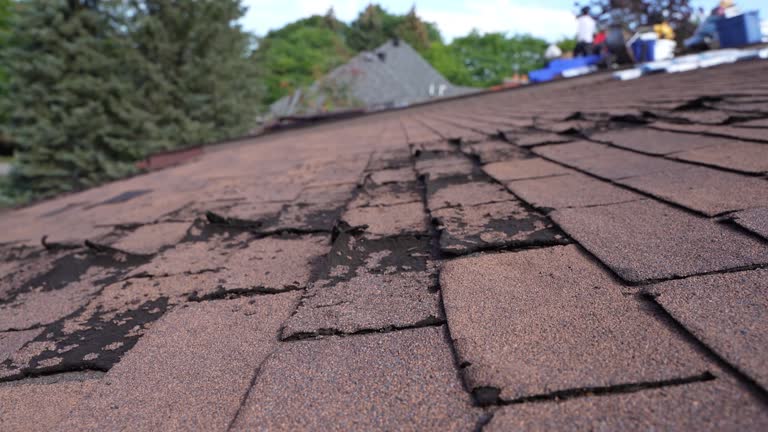 Best Rubber Roofing (EPDM, TPO)  in Davison, MI
