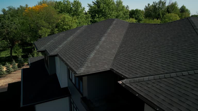 Best 4 Ply Roofing  in Davison, MI