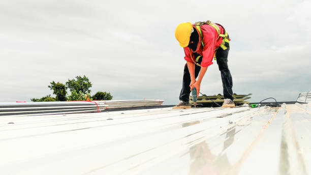 Best Flat Roofing  in Davison, MI