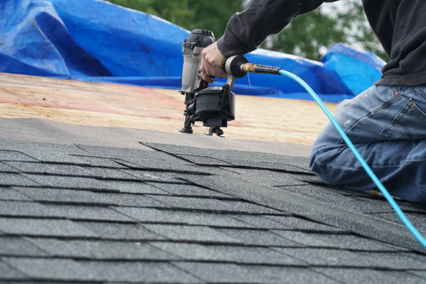 Best Rubber Roofing (EPDM, TPO)  in Davison, MI