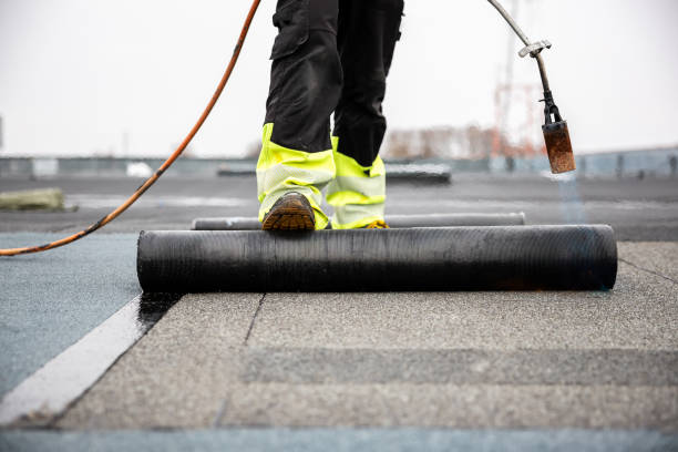 Best Roof Moss and Algae Removal  in Davison, MI