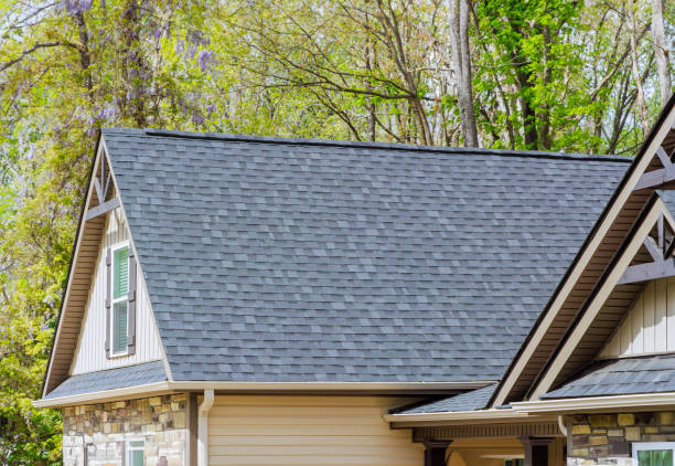 Best Tile Roofing Installation  in Davison, MI