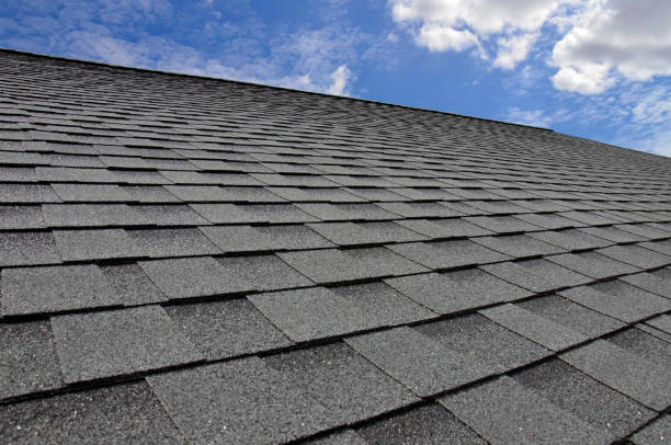 Best Metal Roofing Installation  in Davison, MI