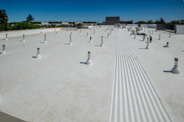 Best Wood Shake Roofing  in Davison, MI